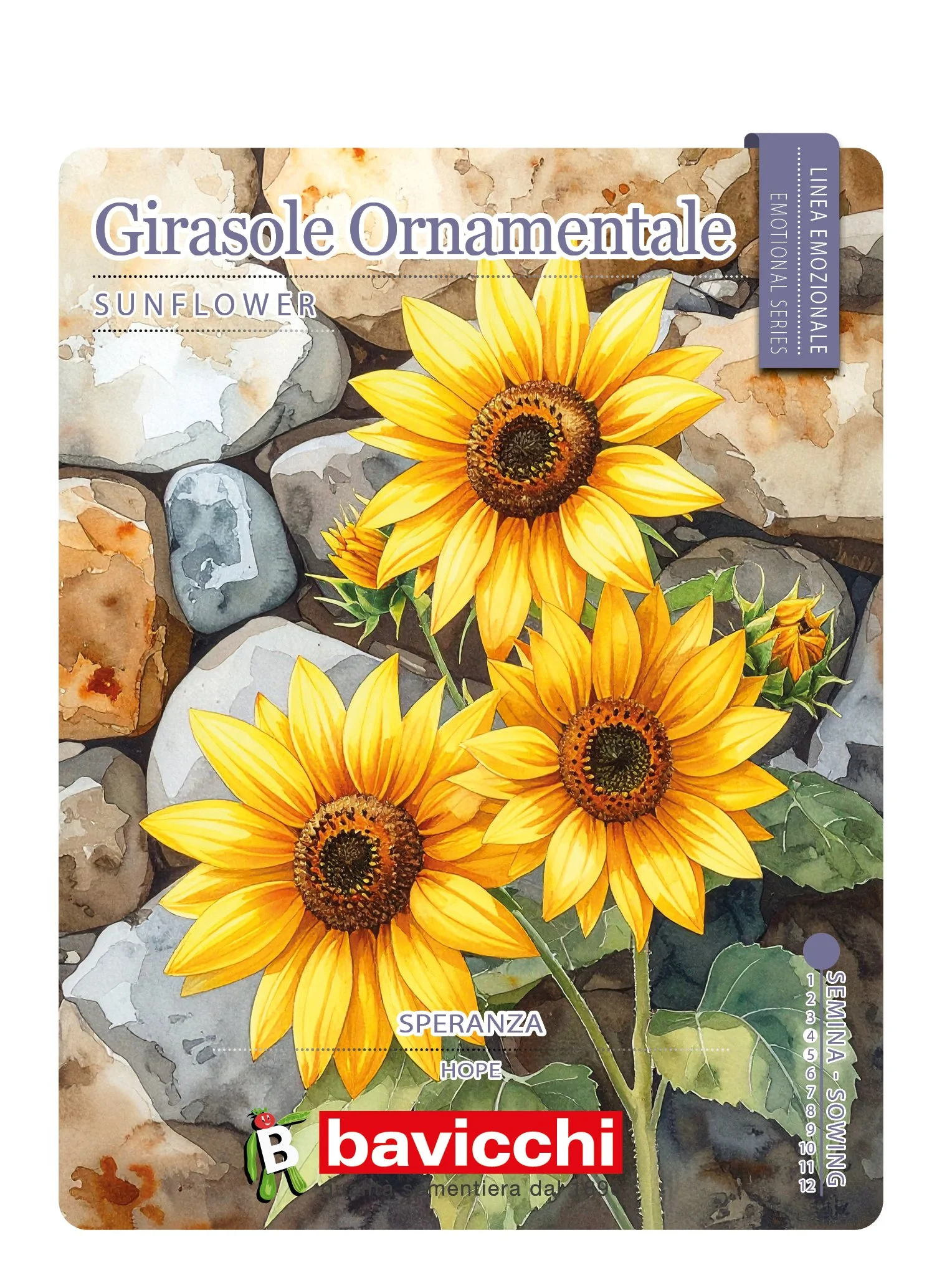 GIRASOLE ORNAMENTALE - FGI0107