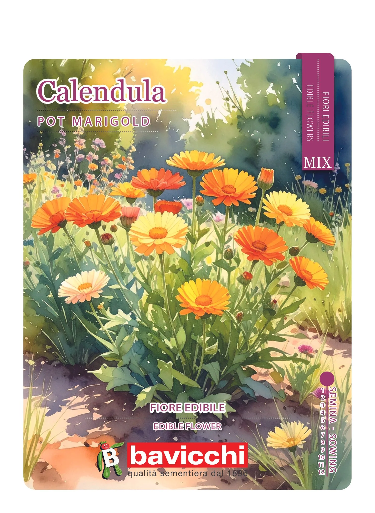 CALENDULA MIX - FCA0107E