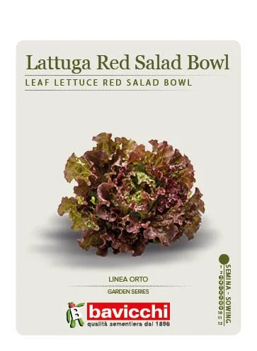 LATTUGA RED SALAD BOWL - VLA2407