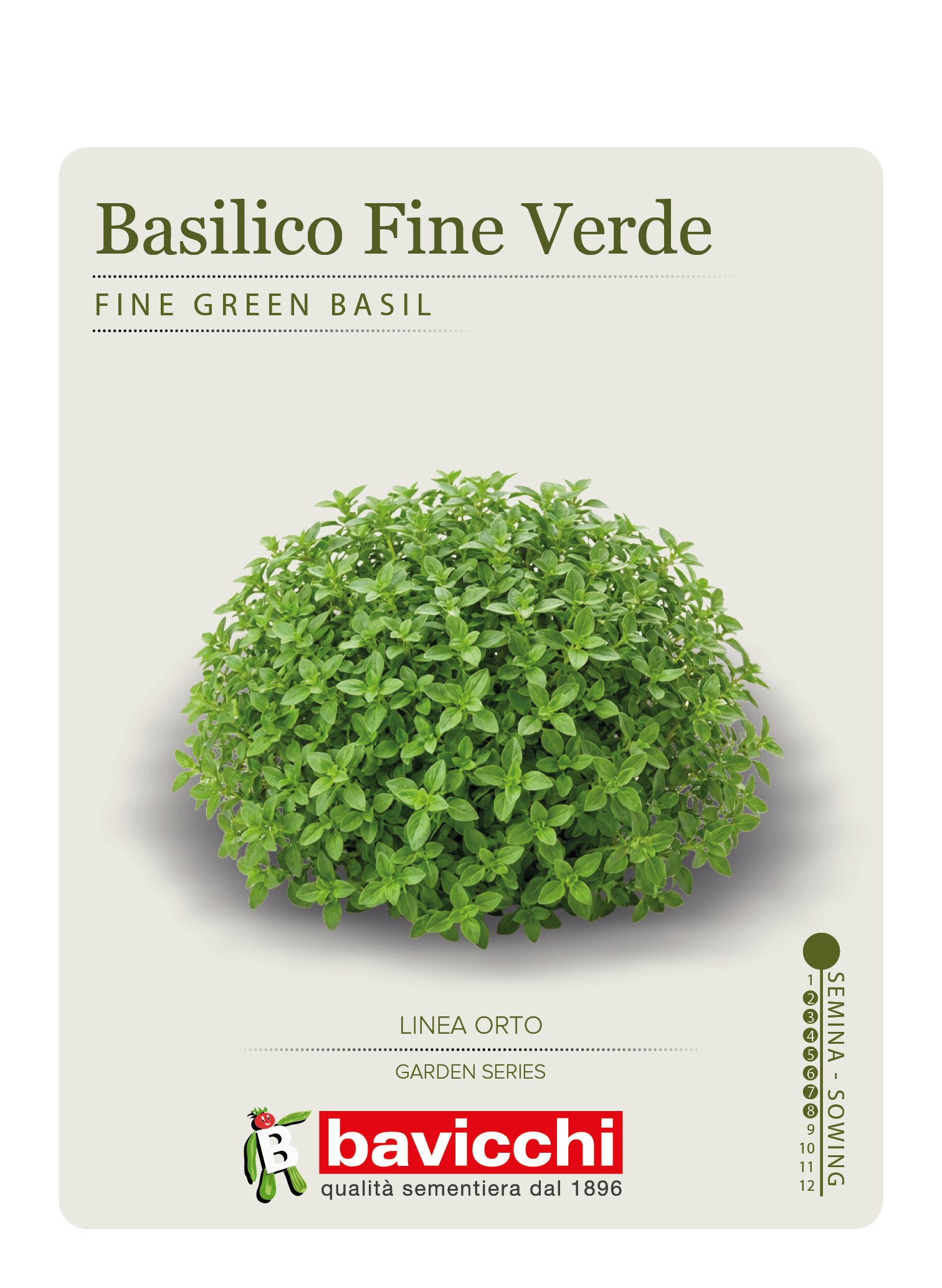 BASILICO FINE VERDE - ZBS0107