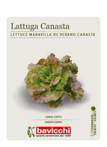 LATTUGA MARAVILLA DE VERANO - VLA2807