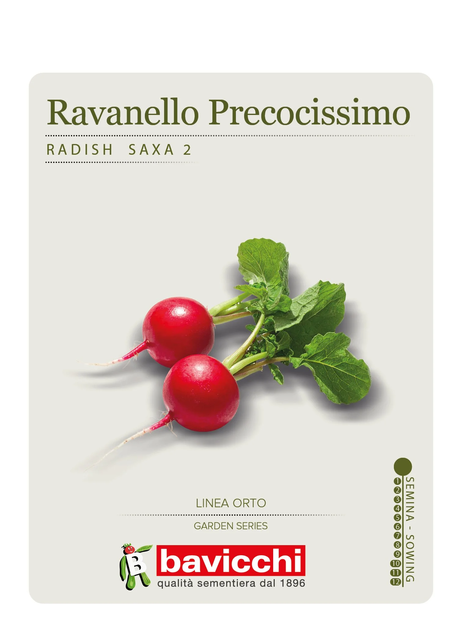 RAVANELLO ROSSO TONDO PRECOCISSIMO 2 - VRV0807