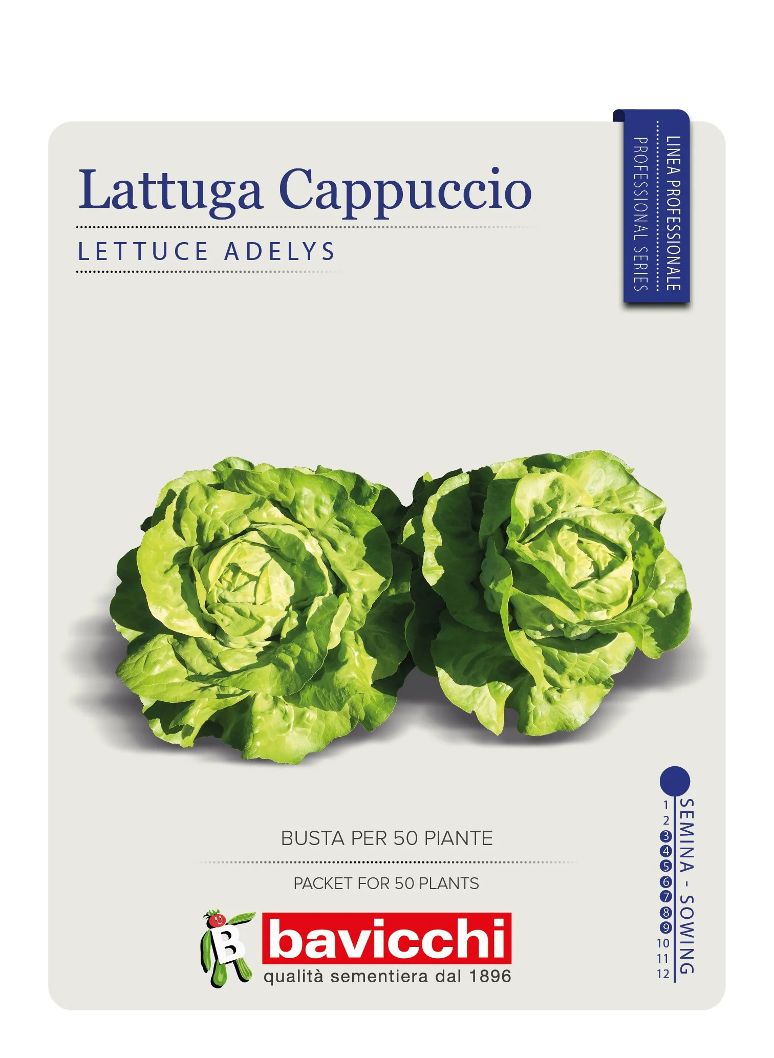 LATTUGA ADELYS - VLA5107