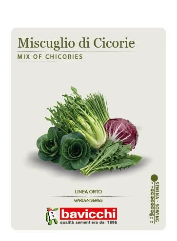 MISCUGLIO DI CICORIE DA TAGLIO - ZMI0207