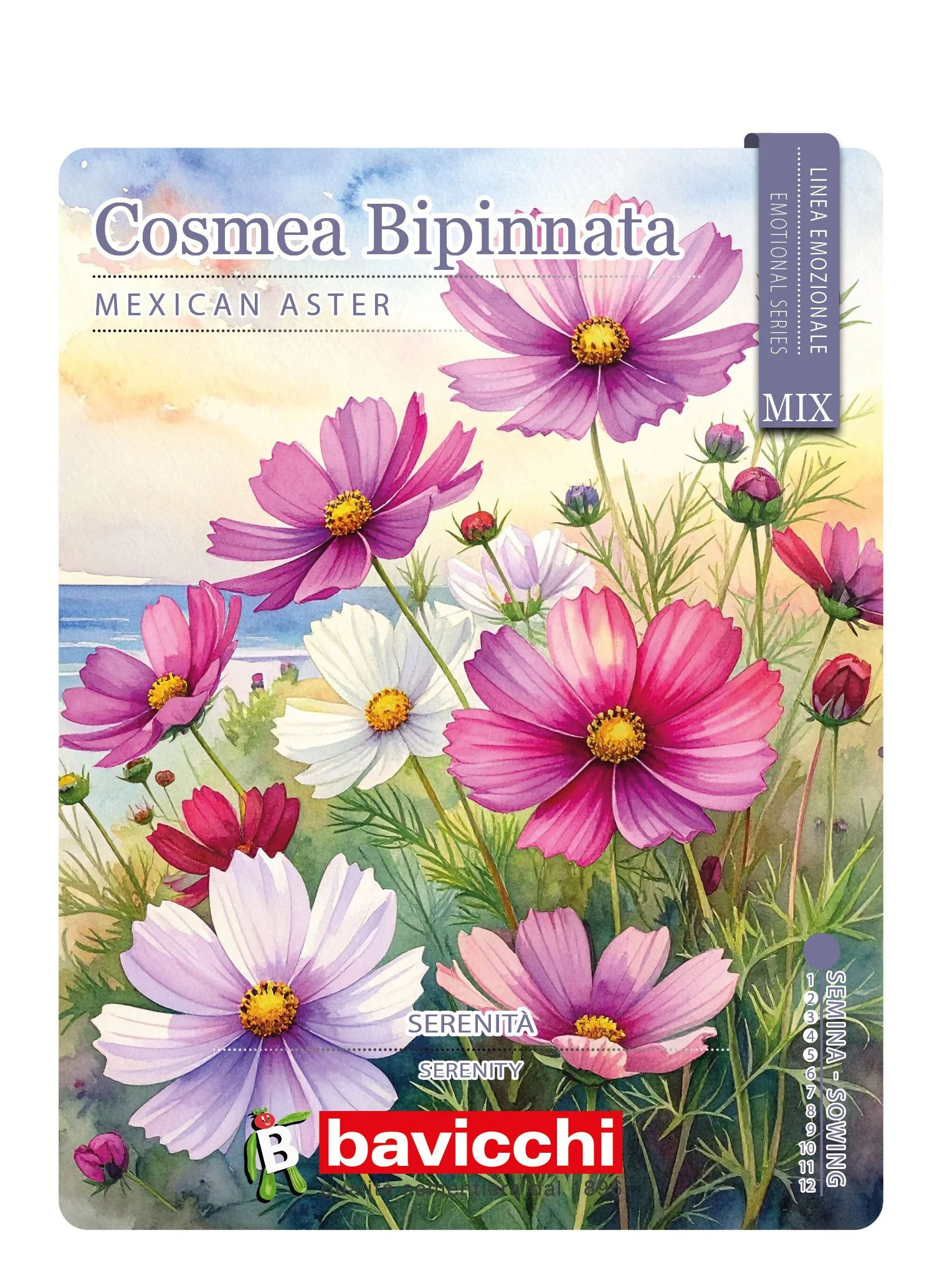 COSMEA BIPINNATA MIX - FCS0107