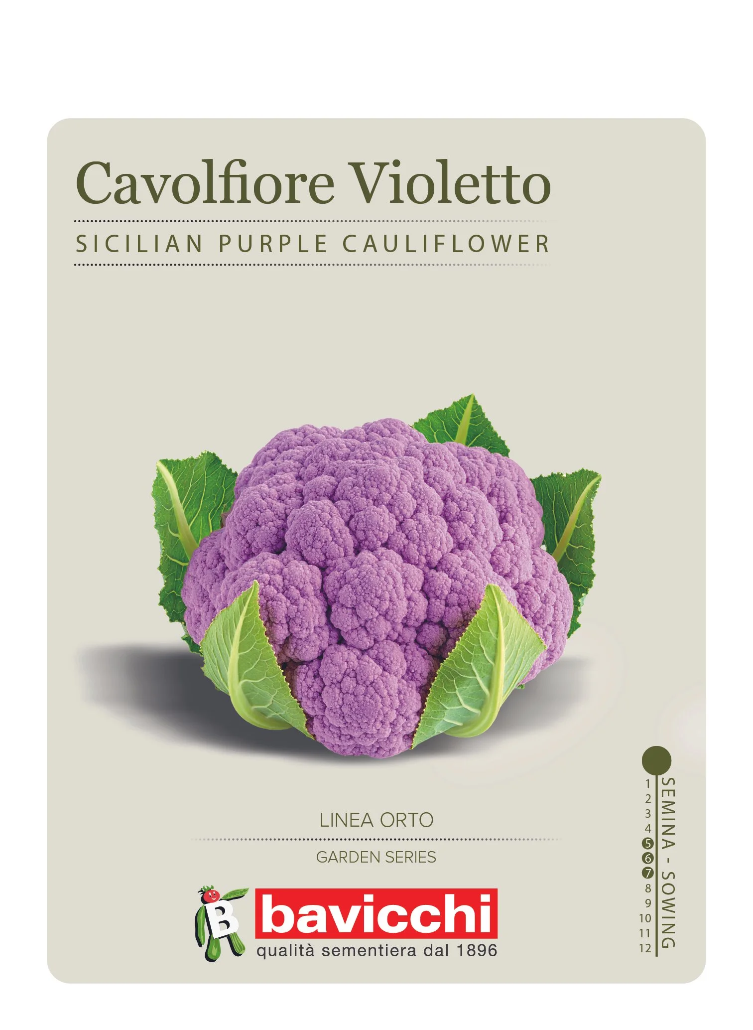 CAVOLFIORE DI SICILIA VIOLETTO - VCF0707