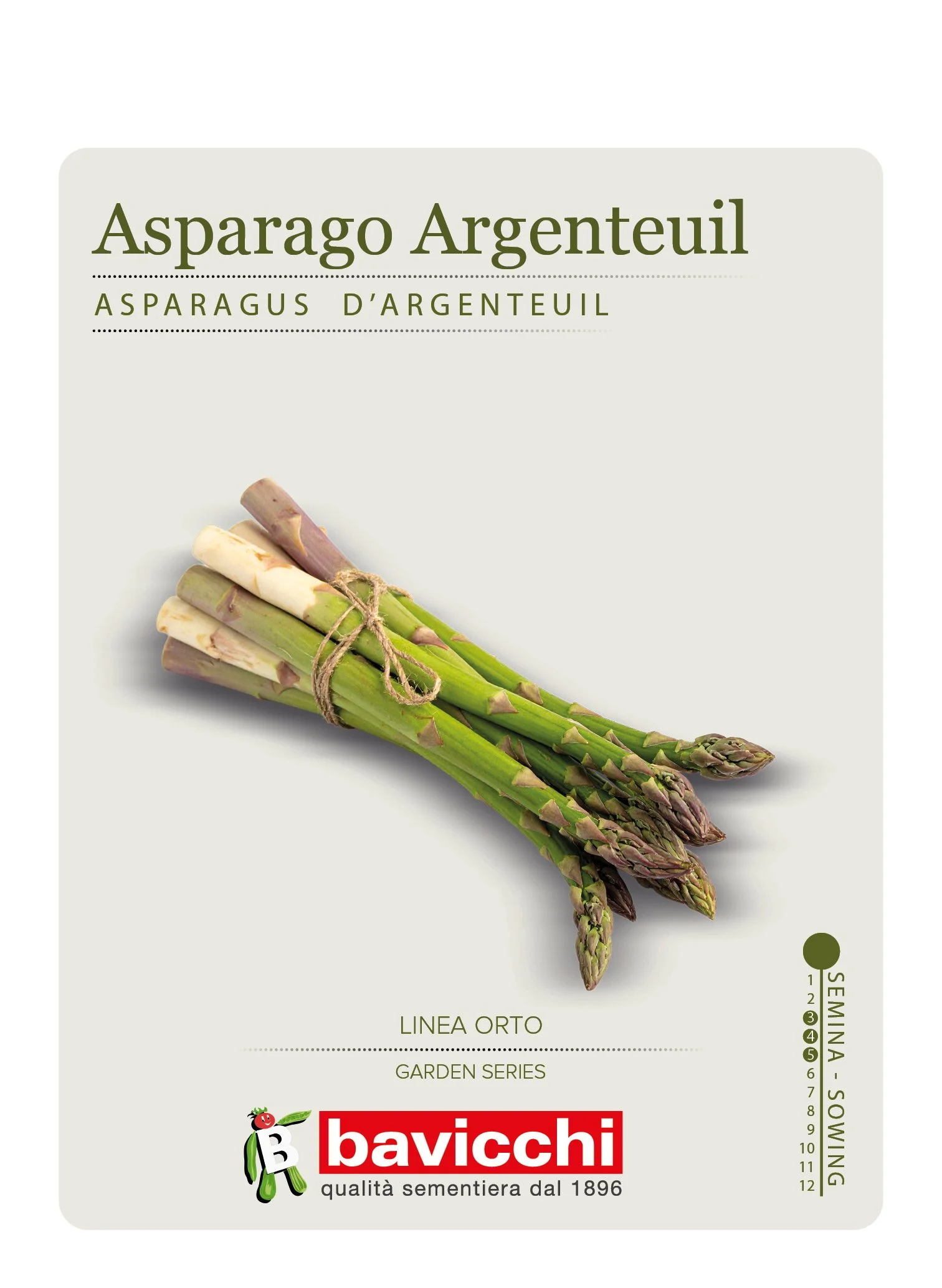 ASPARAGO ARGENTEUIL - VAS0107