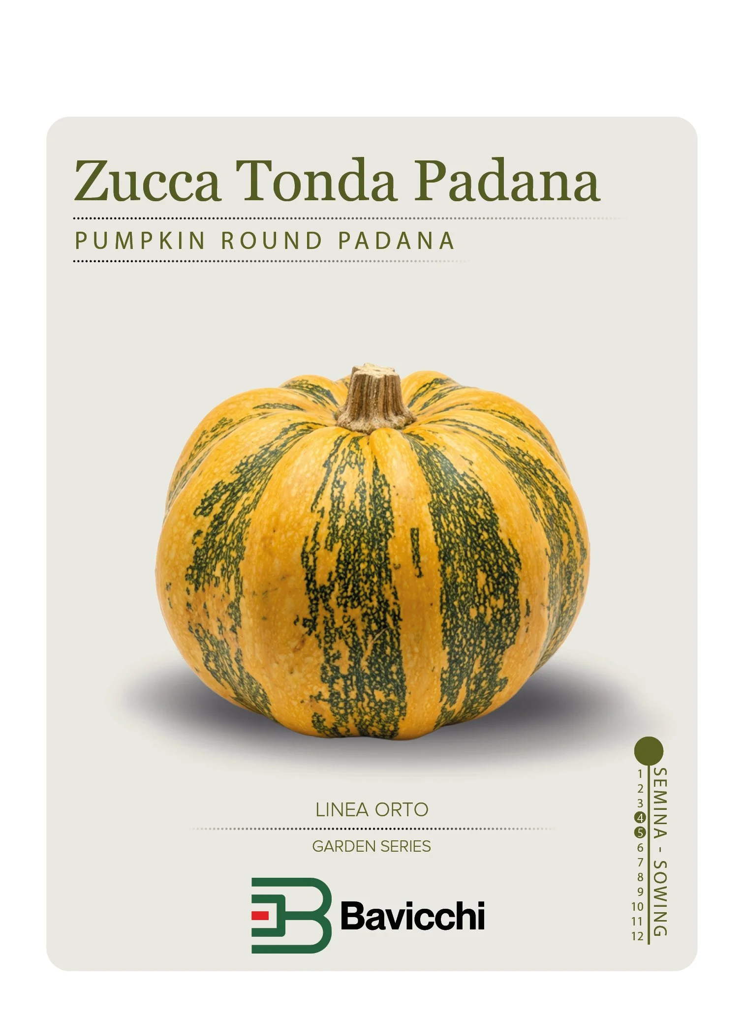 ZUCCA TONDA PADANA - ZZU0307