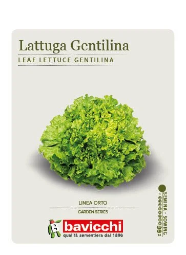 LATTUGA DA TAGLIO GENTILINA - VLA4307