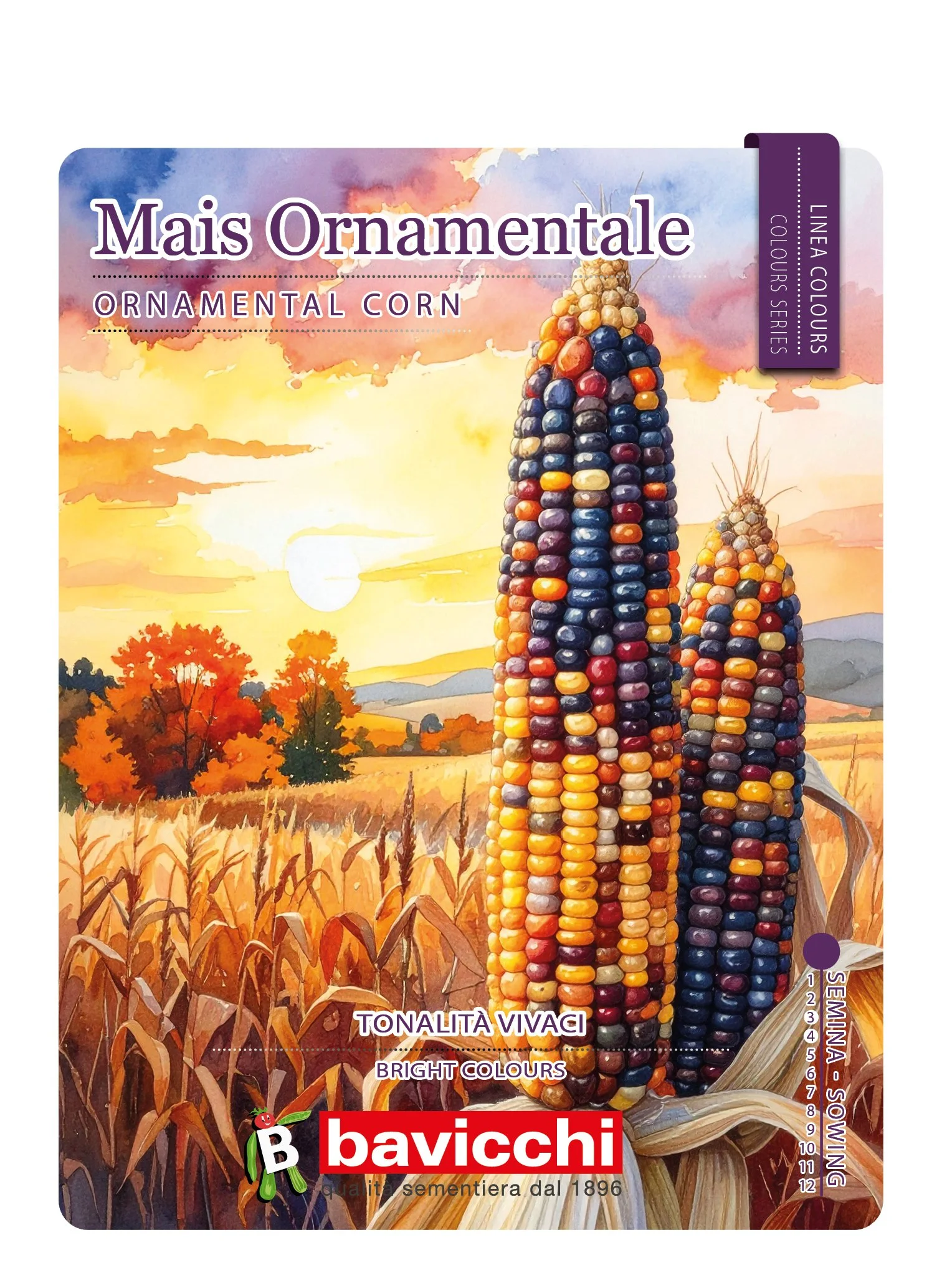 MAIS ORNAMENTALE - FMO0107