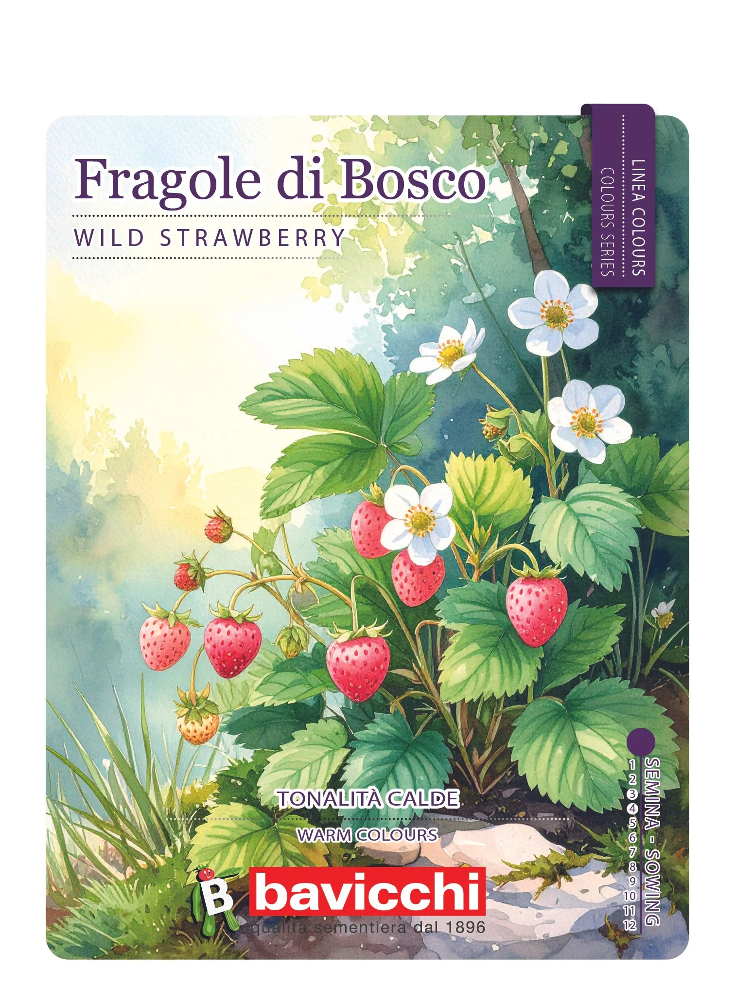 FRAGOLE DI BOSCO - FFR0107C