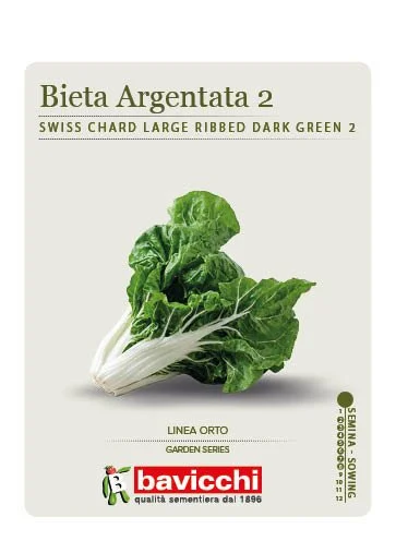 BIETOLA VERDE  A COSTA LARGA ARGENTATA 2 - VBI0307