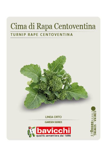 RAPA BROCCOLETTI O CIMA DI RAPA CENTOVENTINA - ZRP0107