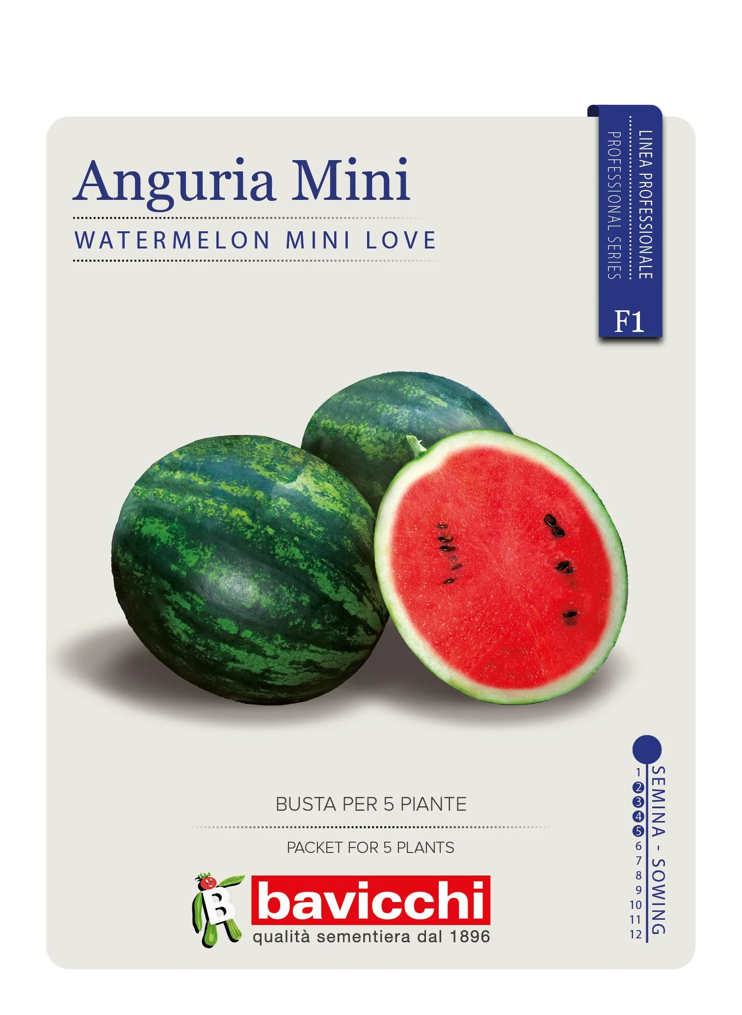 ANGURIA MINI LOVE F1 - VAN1107