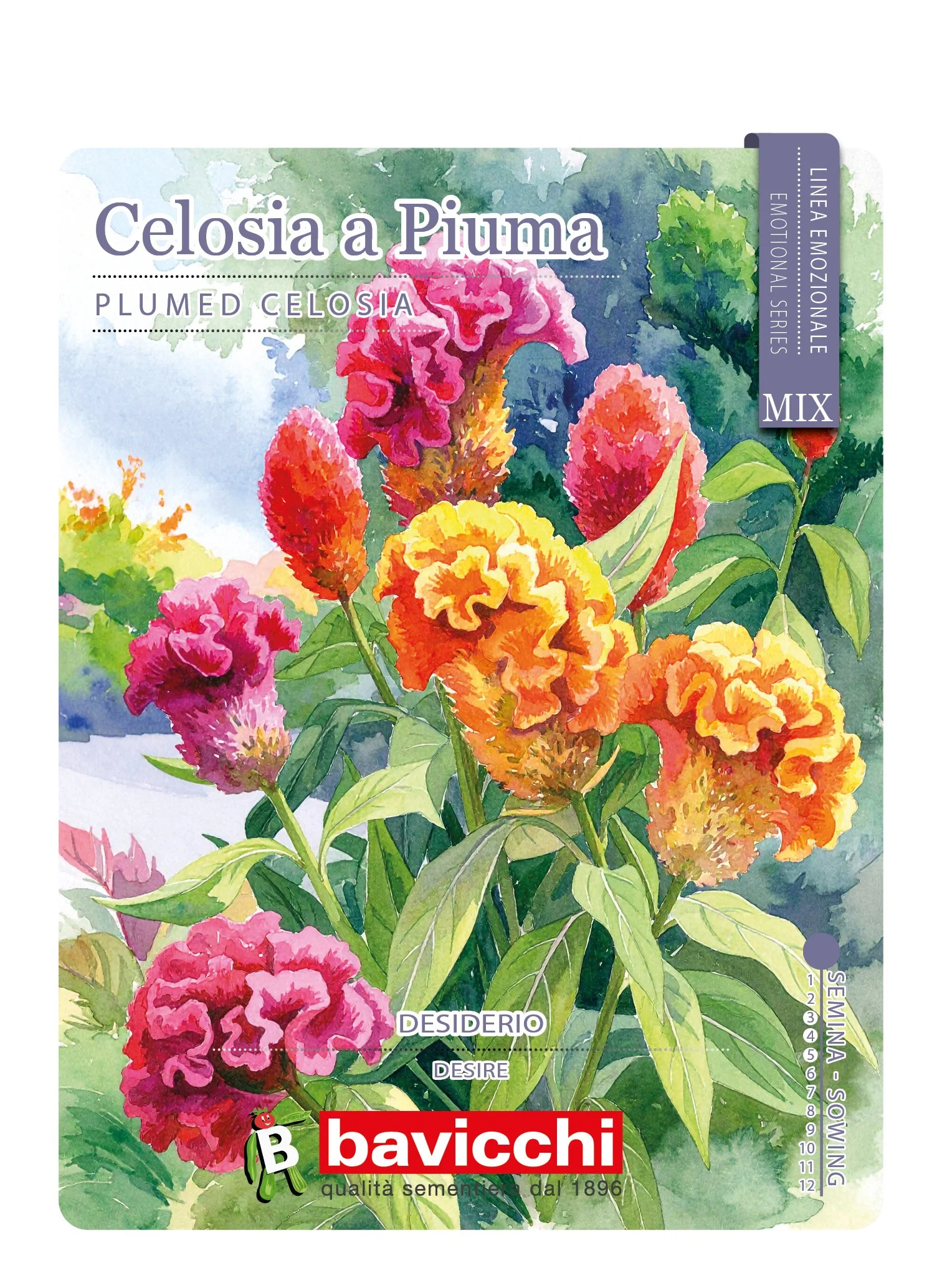 CELOSIA A PIUMA MIX - FCE0107
