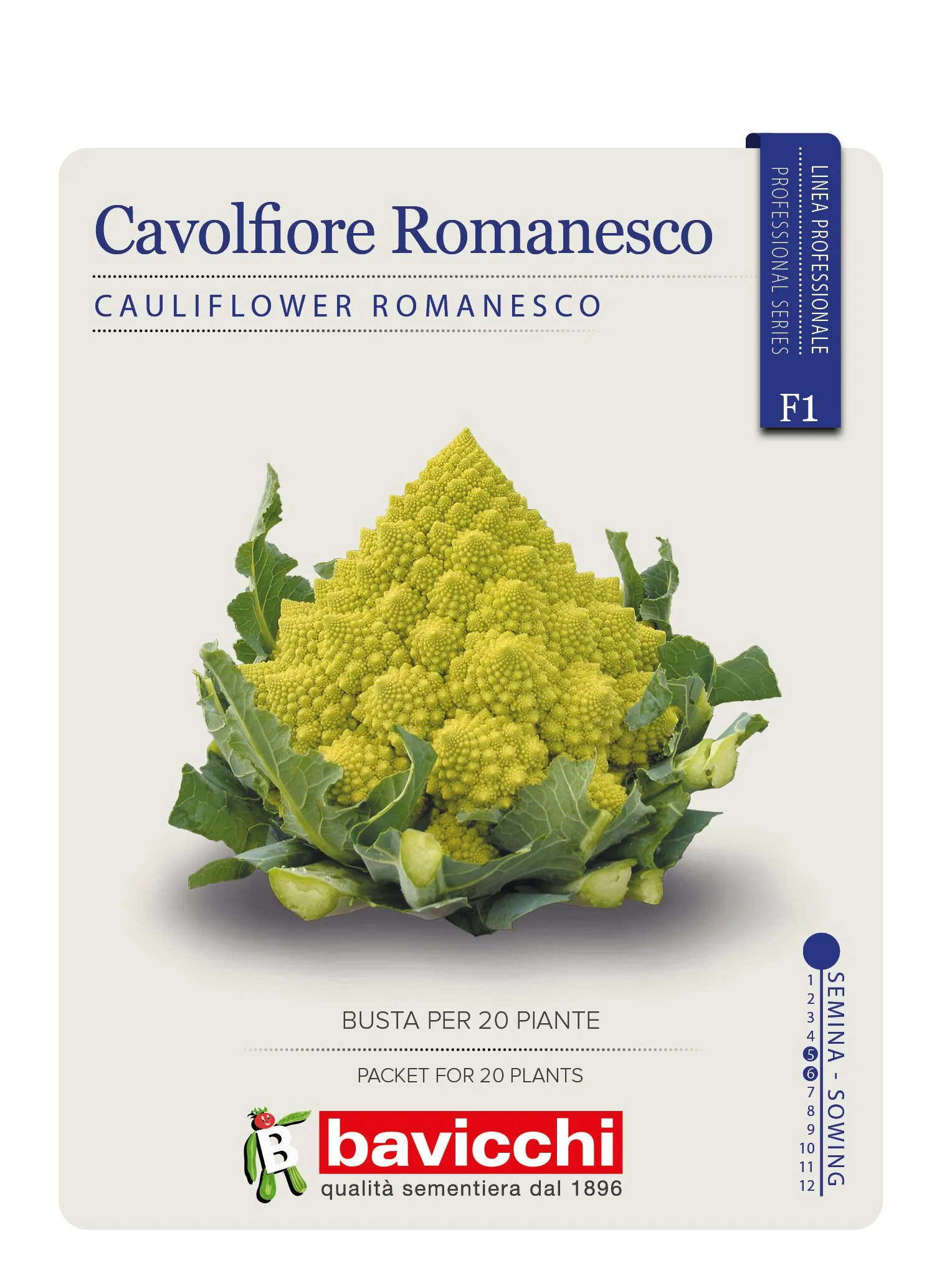 CAVOLFIORE ROMANESCO NAVONA F1 - VCF2007