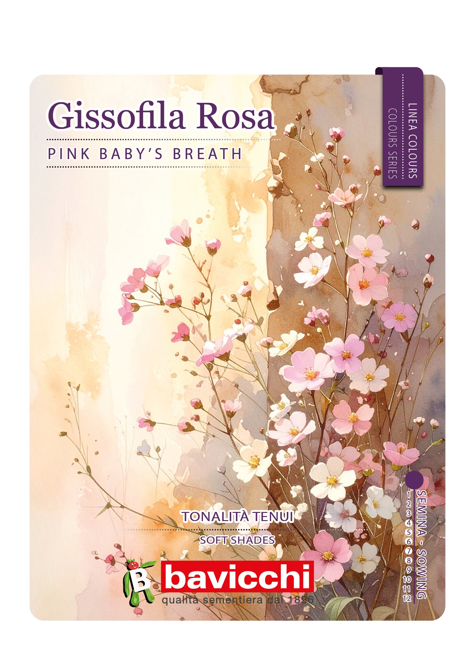 GISSOFILA ROSA - FGS0207