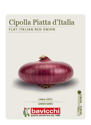 CIPOLLA PIATTA D'ITALIA - VCL0807