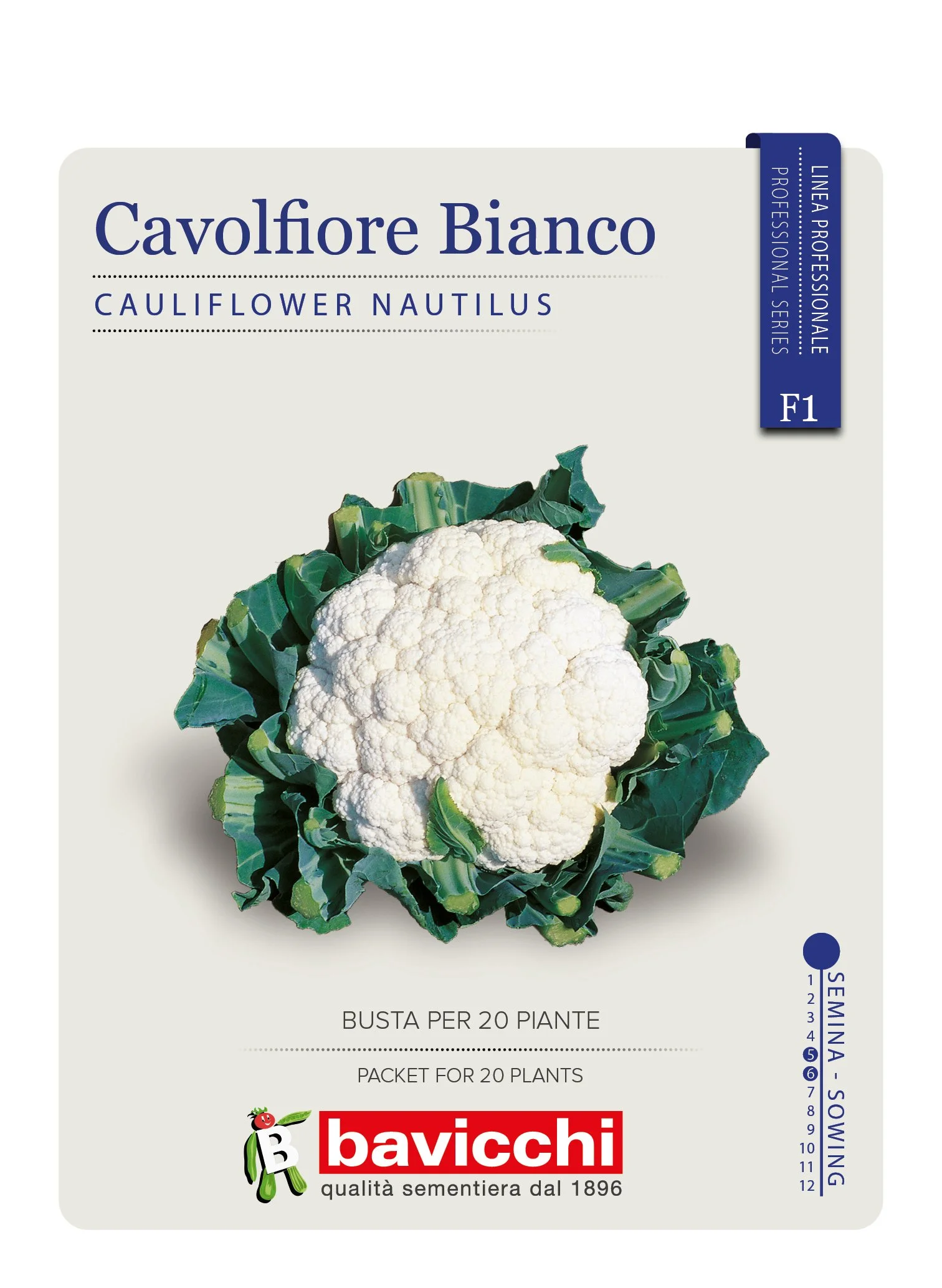 CAVOLFIORE NAUTILUS F1 - VCF1907