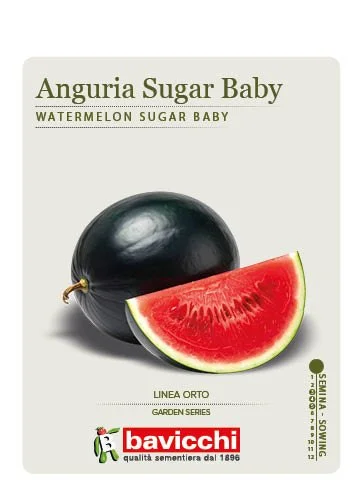 ANGURIA SUGAR BABY - VAN0507
