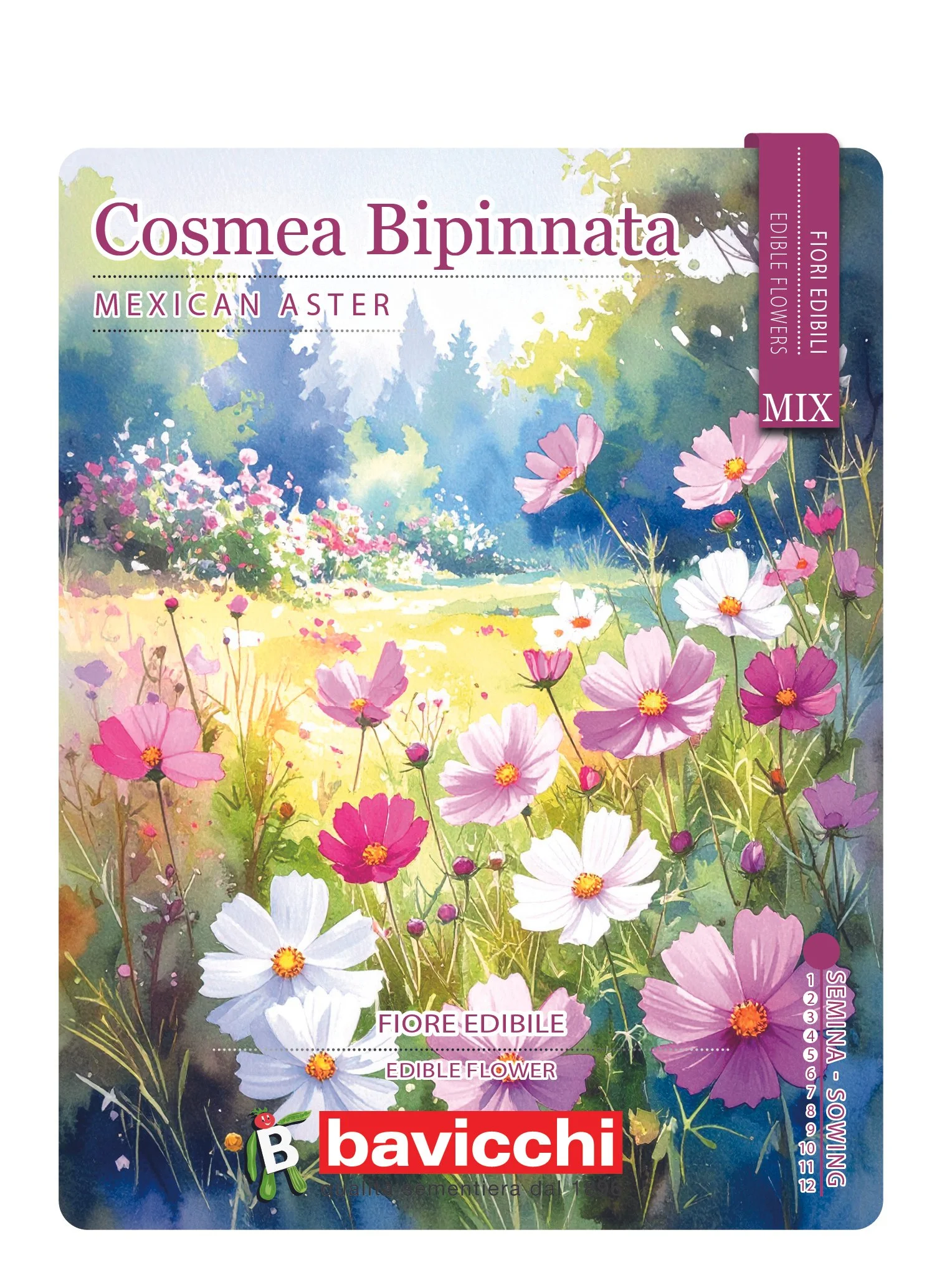 COSMEA BIPINNATA MIX - FCS0107E