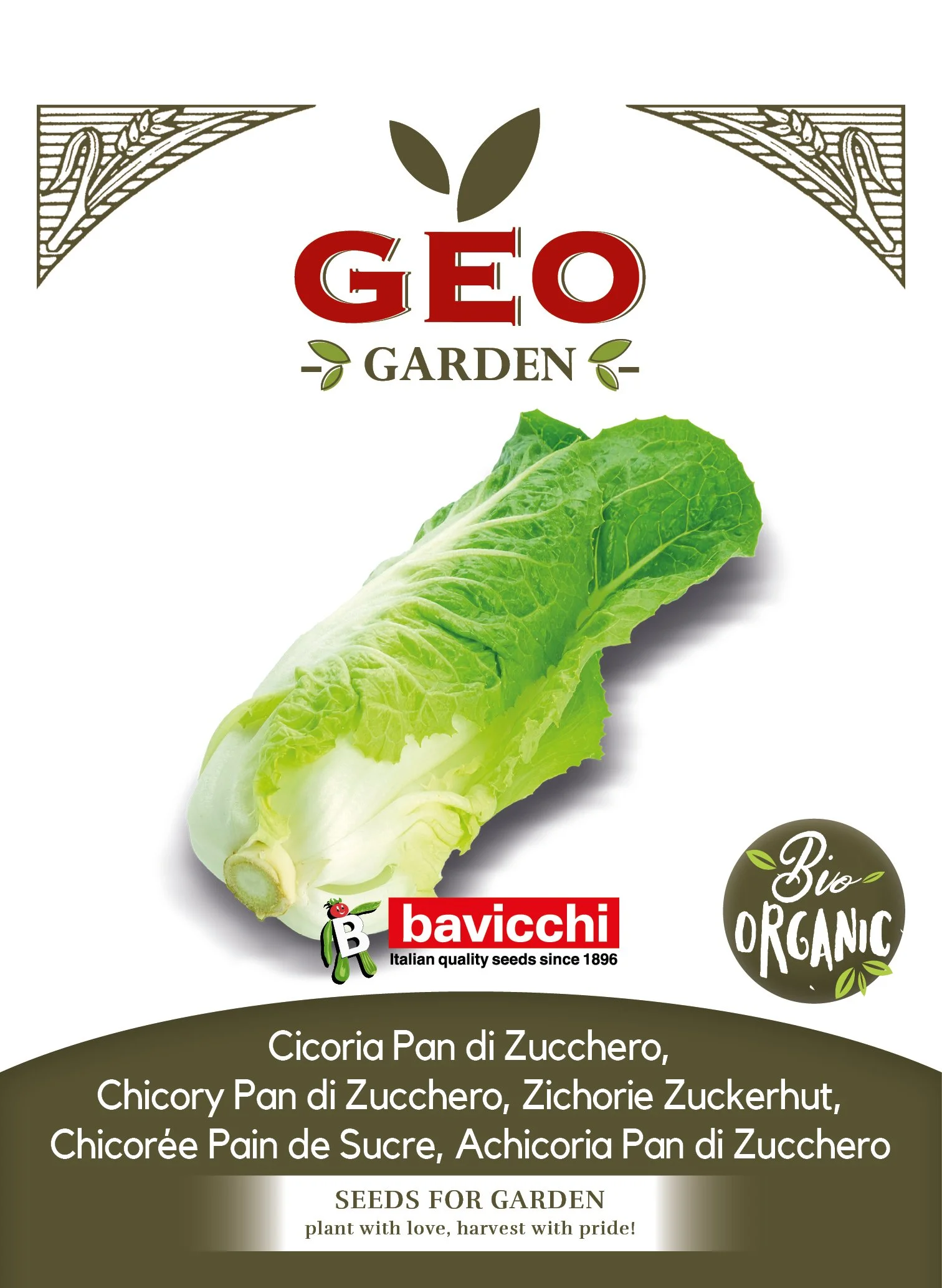 CICORIA PAN DI ZUCCHERO - VCI3003