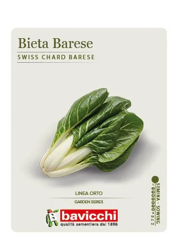 BIETOLA BARESE - VBI1107
