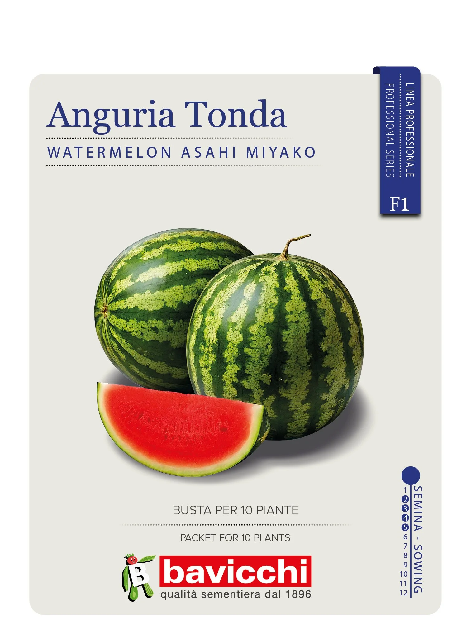 ANGURIA ASAHI MIYAKO F1 - VAN0607