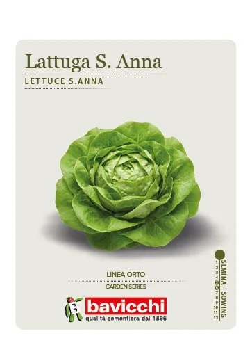 LATTUGA CAPPUCCIO S. ANNA - VLA2907