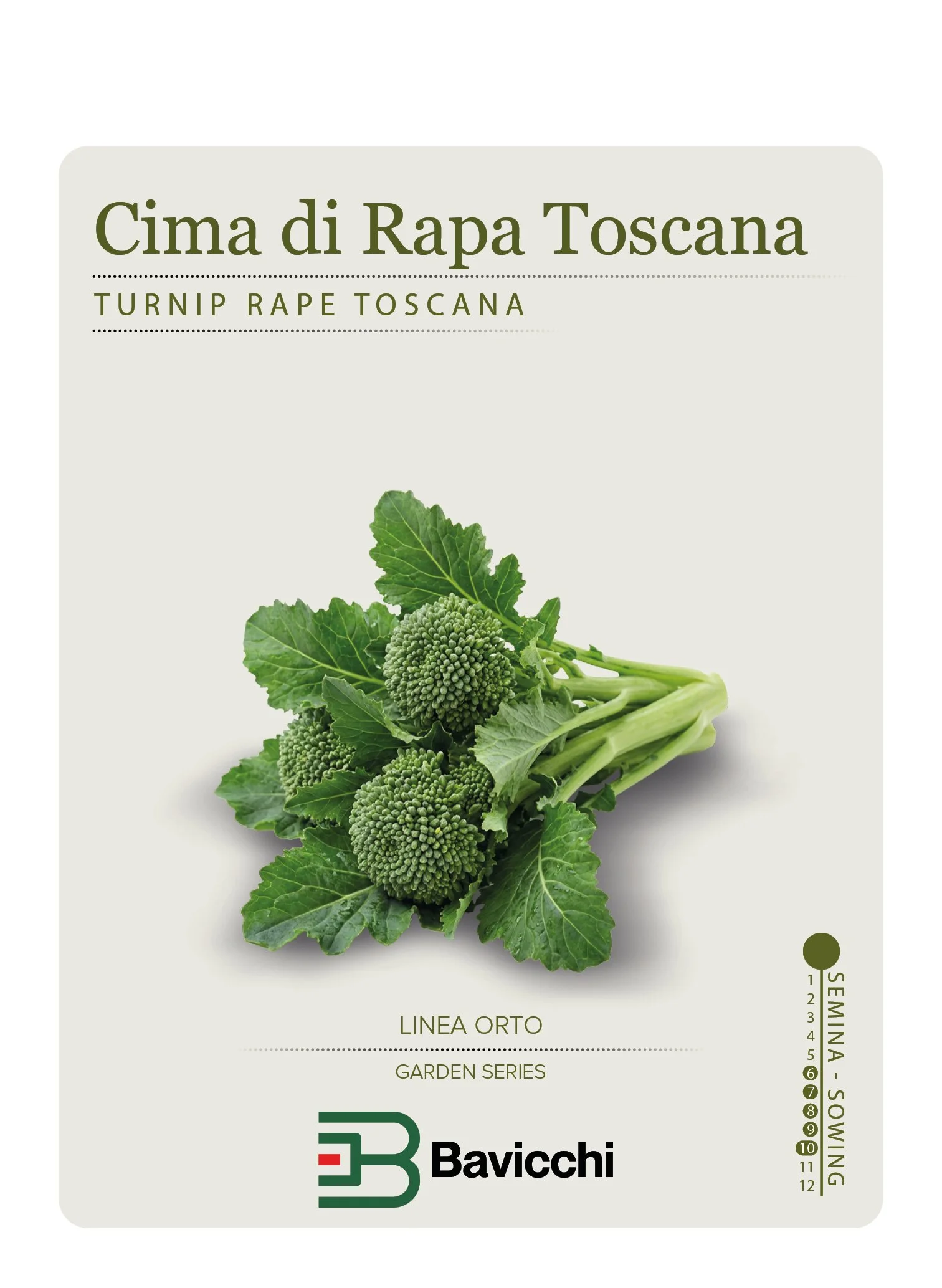 RAPA BROCCOLETTI O CIMA DI RAPA TOSCANA - ZRP0507