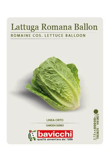 LATTUGA ROMANA BALLON - VLA1607
