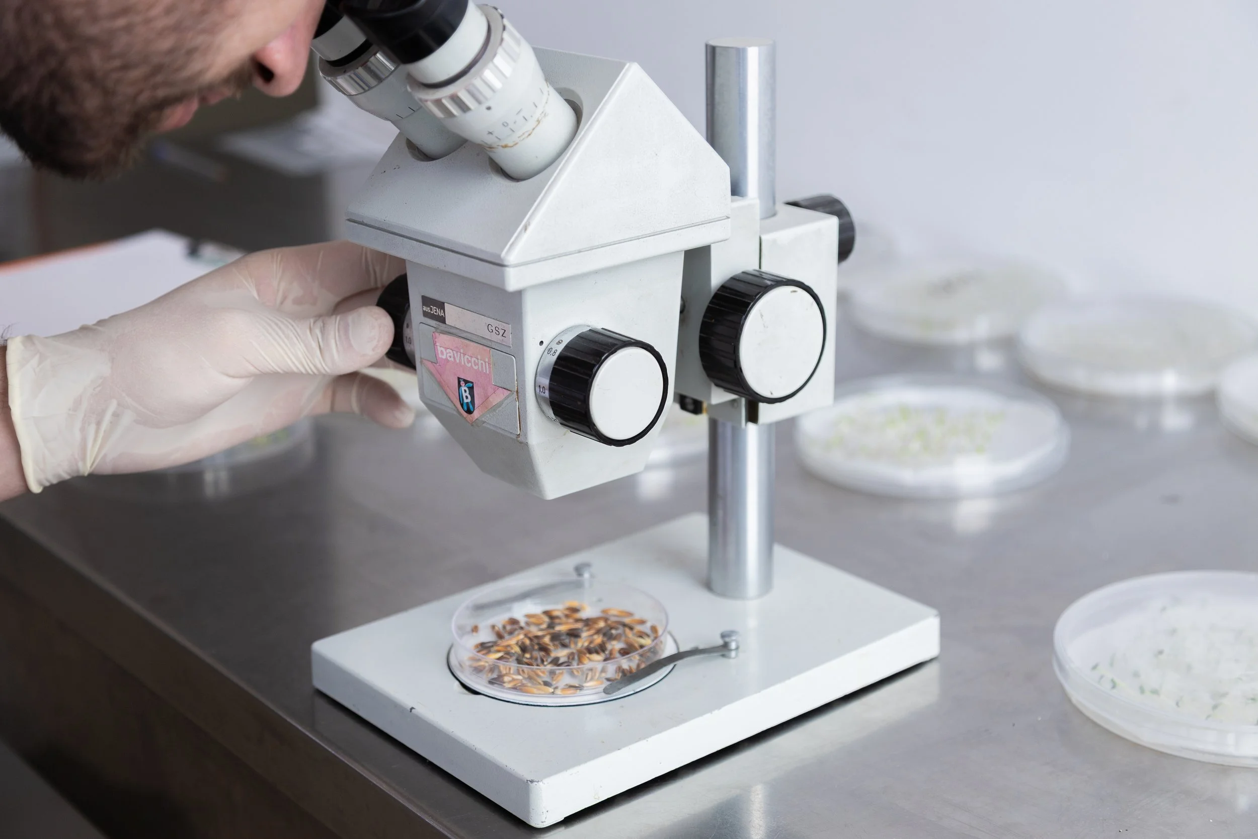Un ricercatore che osserva un vetrino con un microscopio in un laboratorio scientifico.