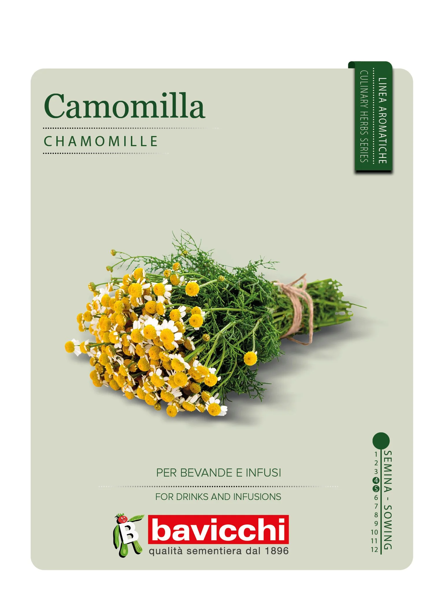 CAMOMILLA - ZXC1007
