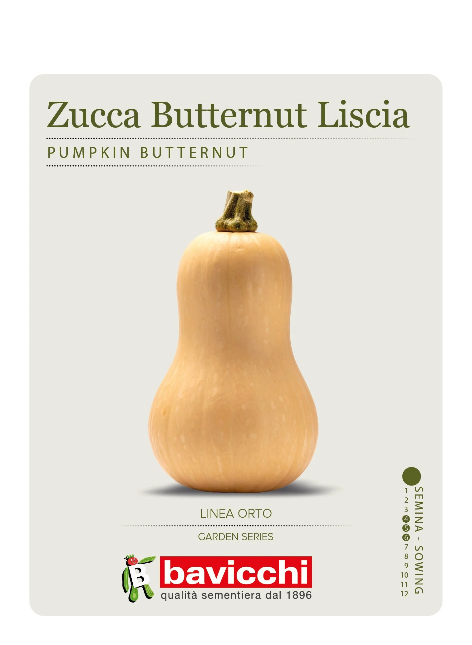 ZUCCA BUTTERNUT LISCIA - ZZU0507