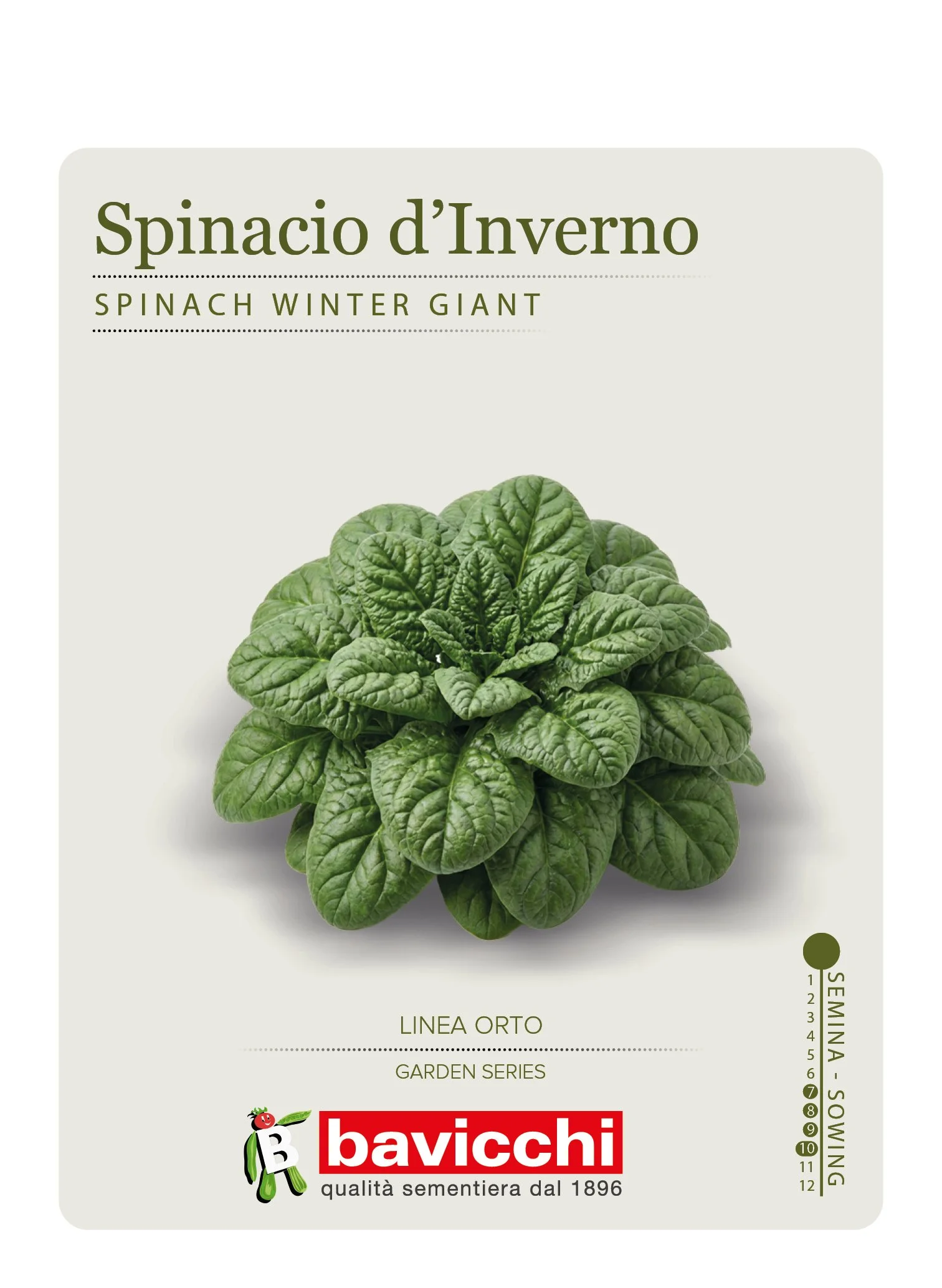 SPINACIO GIGANTE DE INVIERNO - VSP0207