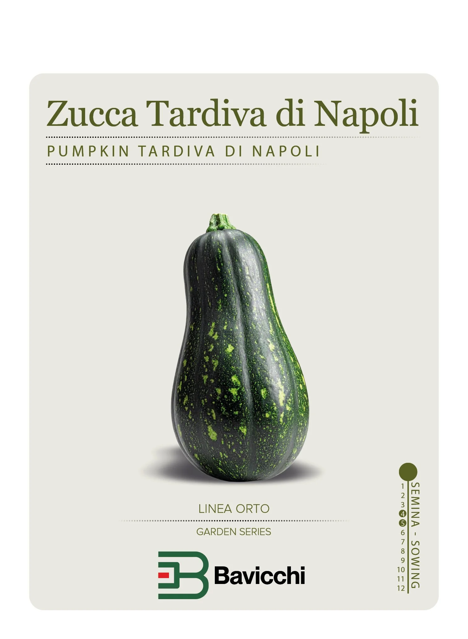 ZUCCA TARDIVA DI NAPOLI - ZZU0207
