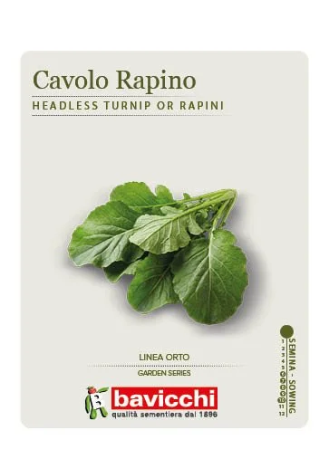 RAPA SENZA TESTA O CAVOLO RAPINO - ZRP0607