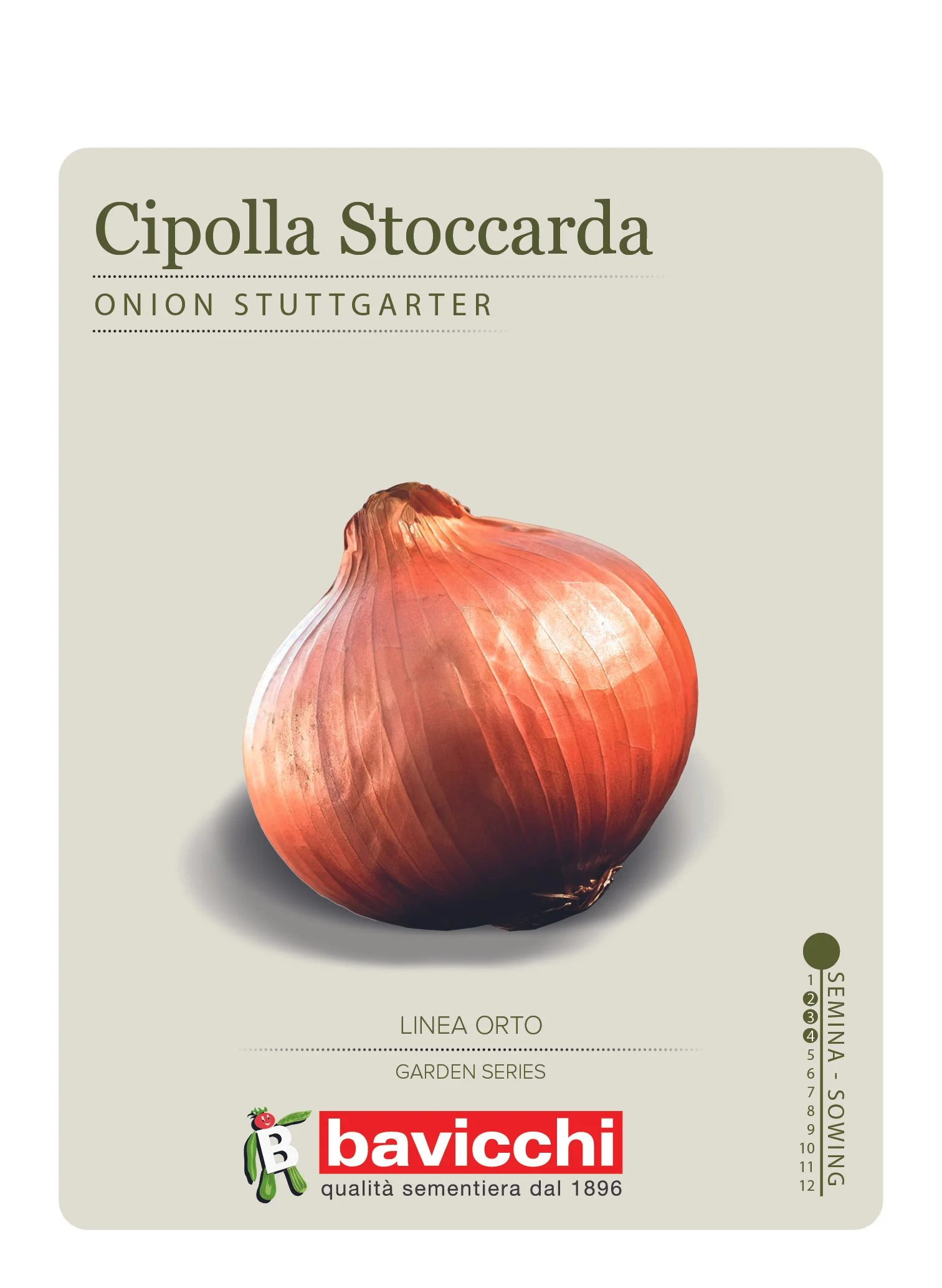 CIPOLLA STOCCARDA - VCL1707