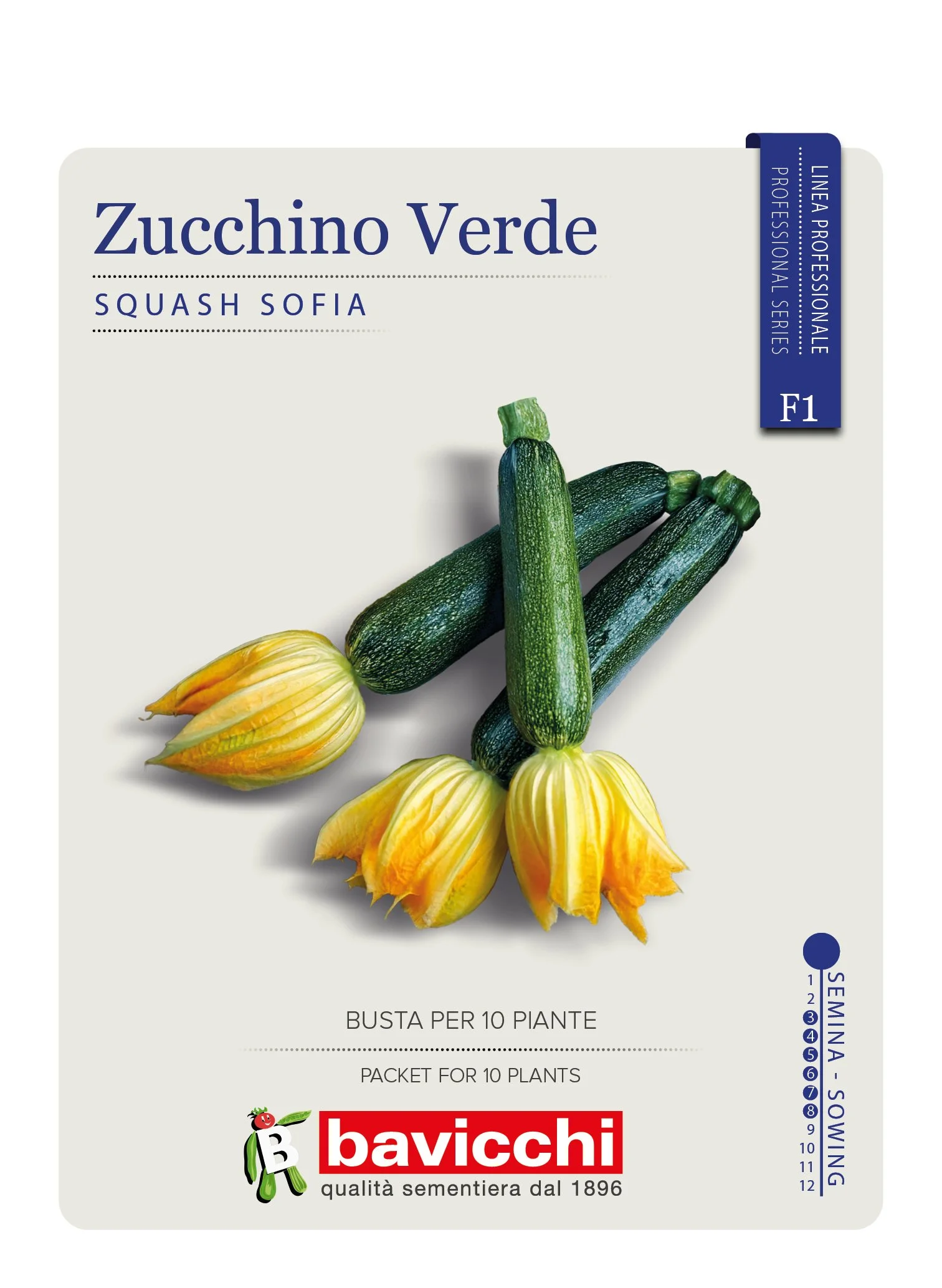 ZUCCHINO SOFIA F1 - VZU4007