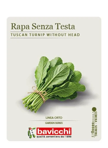 RAPA TOSCANA SENZA TESTA - ZRP1507