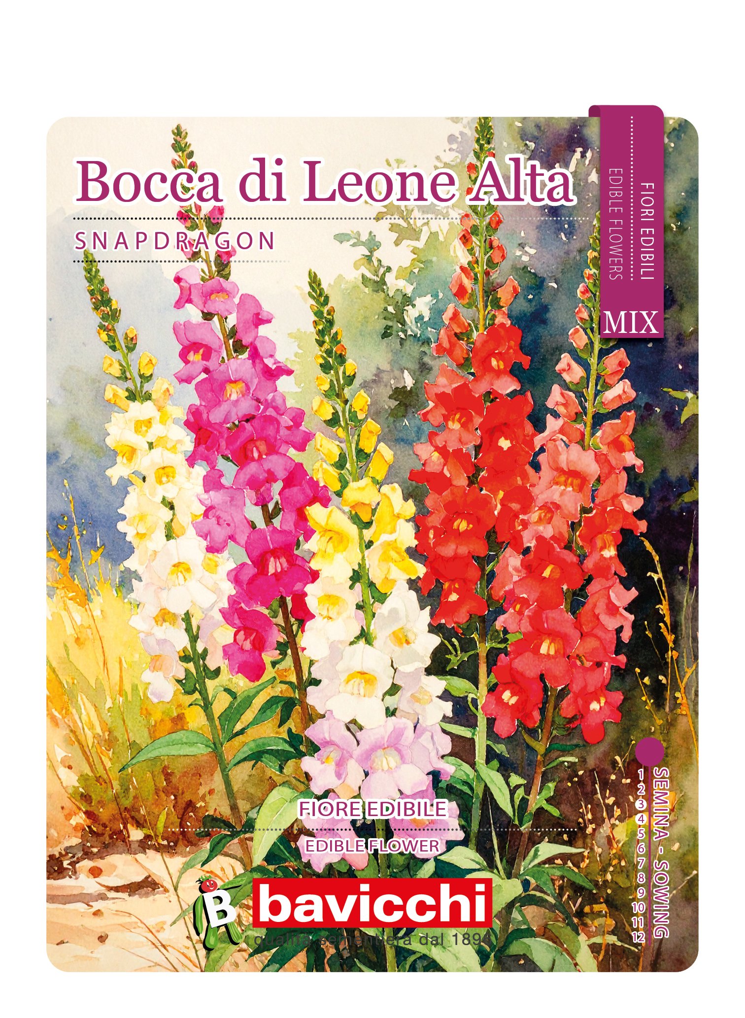 BOCCA DI LEONE ALTA MIX - FBC0107E