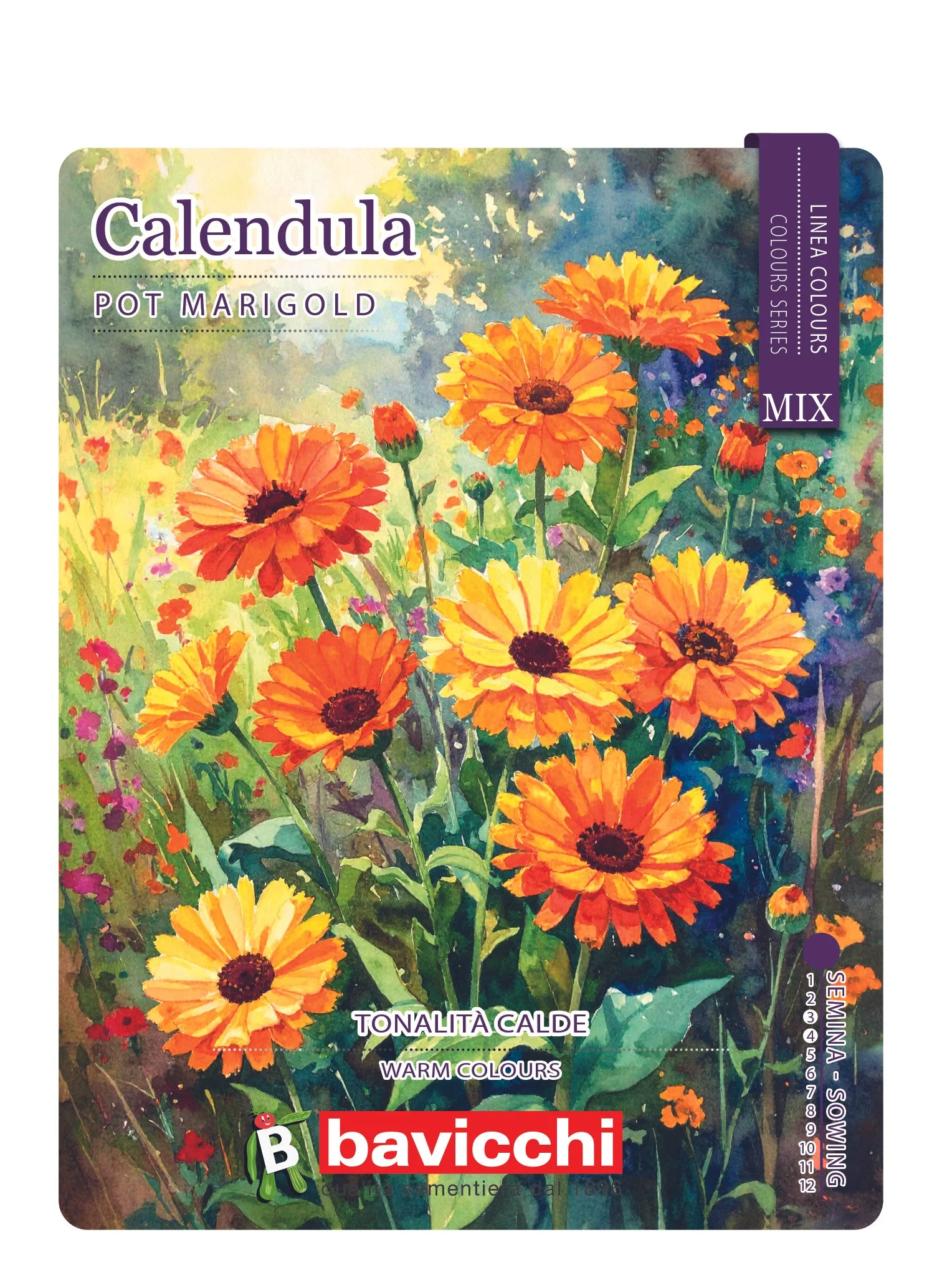 CALENDULA MIX - FCA0107