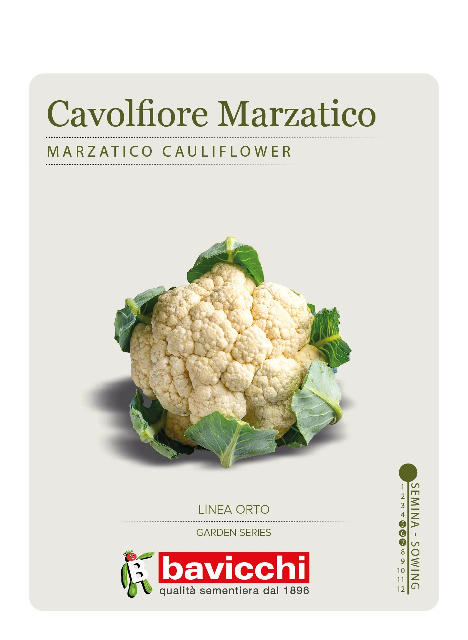 CAVOLFIORE NAPOLETANO MARZATICO - VCF0207