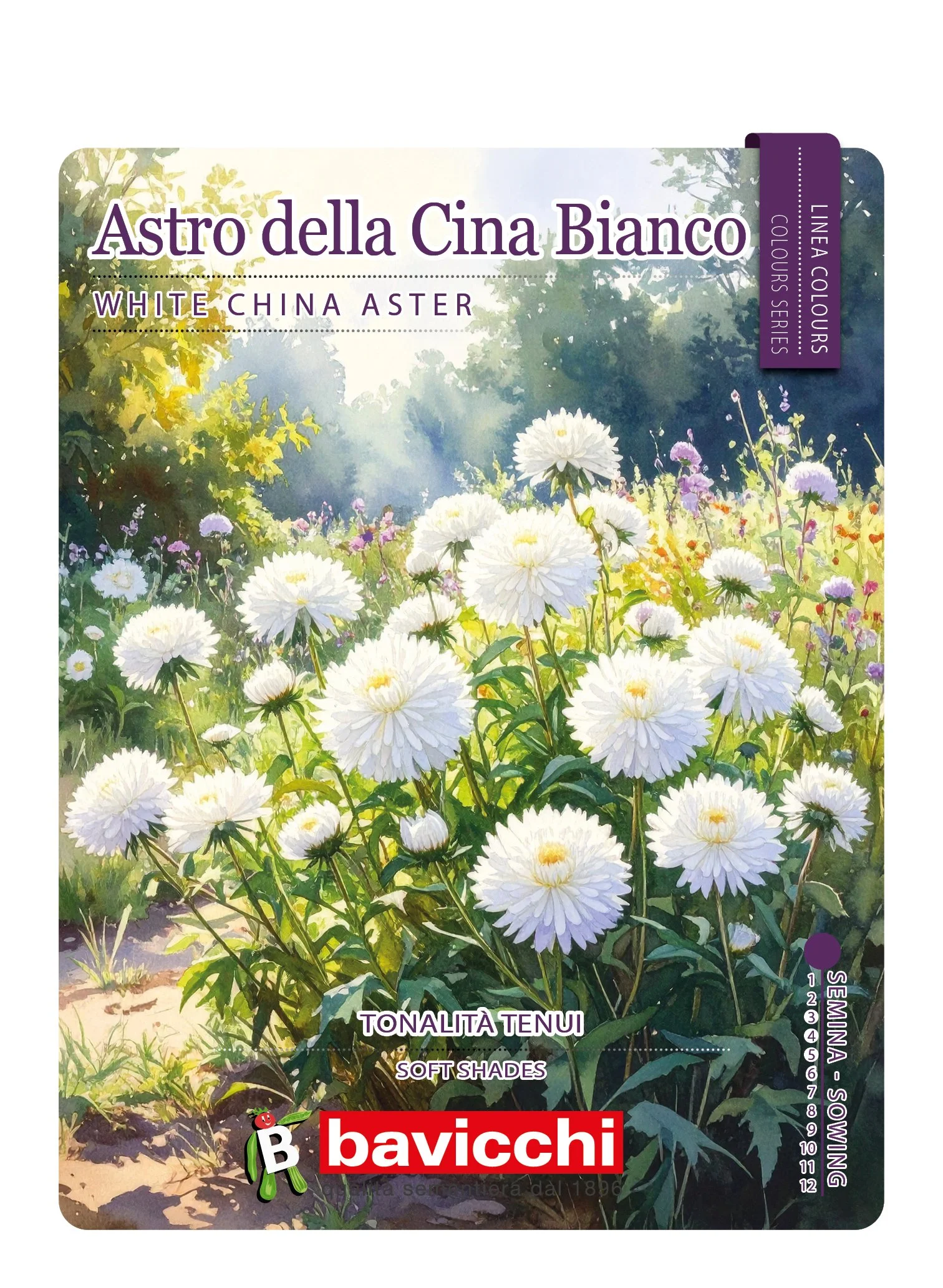 ASTRO DELLA CINA BIANCO - FAT1107