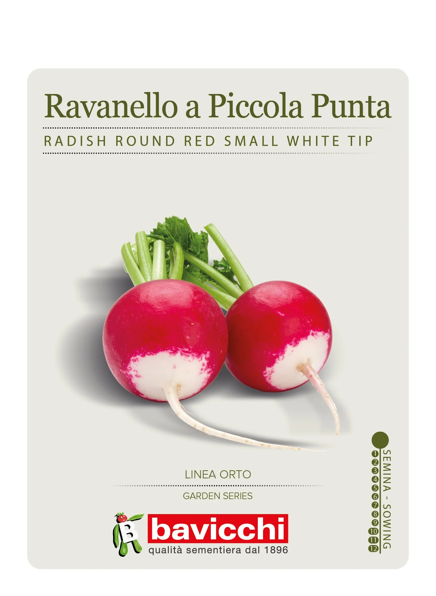 RAVANELLO ROSSO TONDO A PICCOLA PUNTA BIANCA - VRV0705