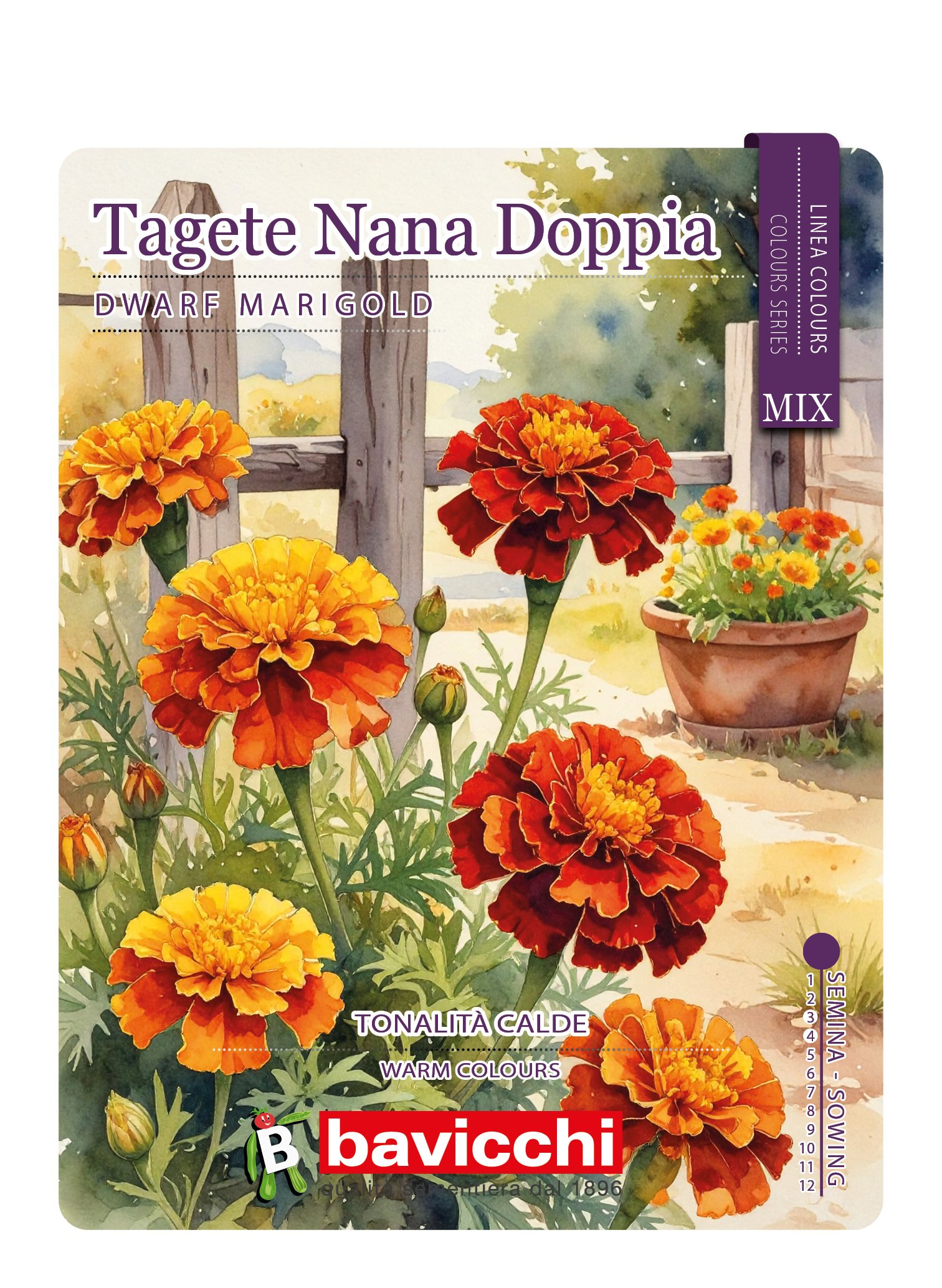 TAGETE NANA DOPPIA MIX- FTA0307C