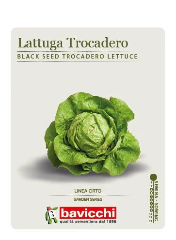 LATTUGA TROCADERO A SEME NERO - VLA1207