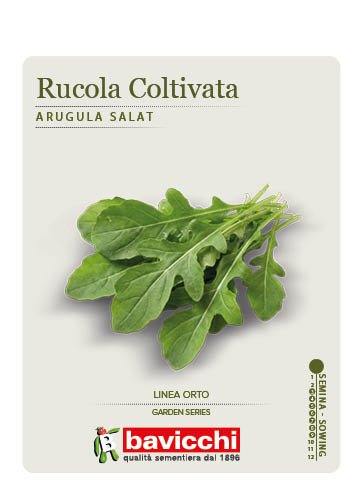 RUCOLA COLTIVATA - ZRU0107