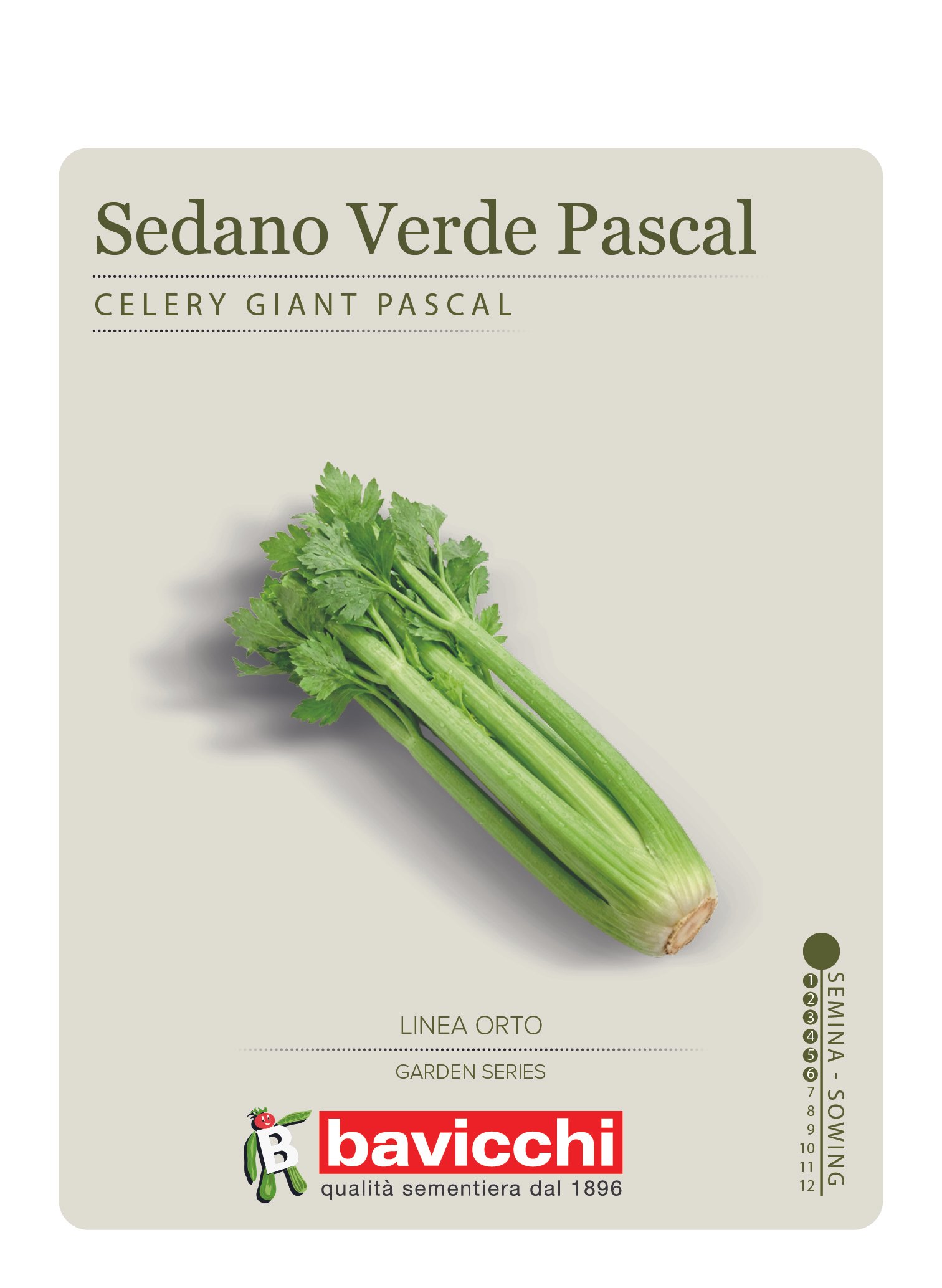 SEDANO VERDE PASCAL - VSE0307