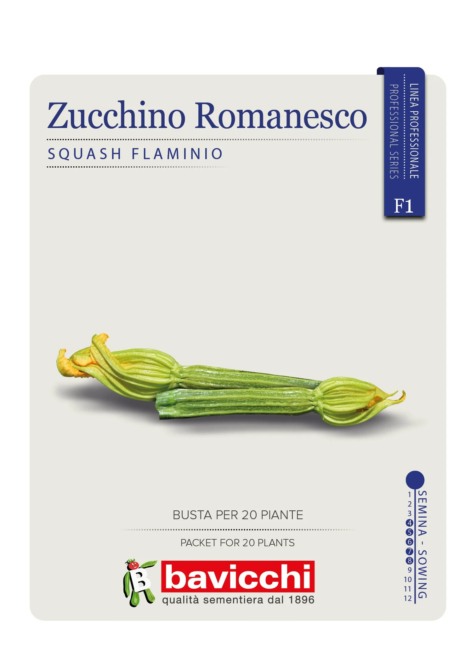 ZUCCHINO FLAMINIO F1 - VZU3007